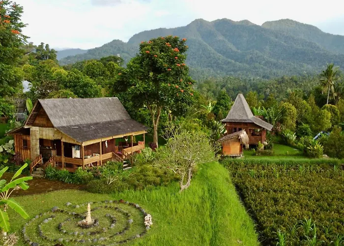 Sunset Sala- Experience The Real Bali