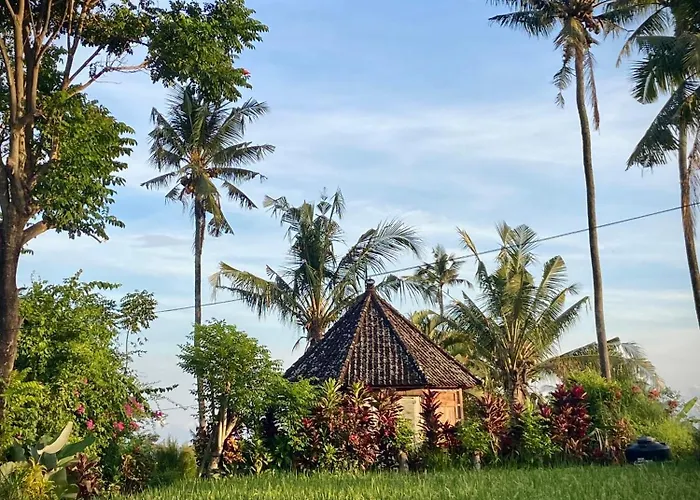 Sunset Sala- Experience The Real Bali Sudaji