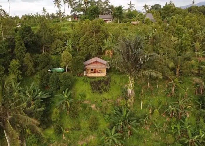 Sunset Sala- Experience The Real Bali Sudaji