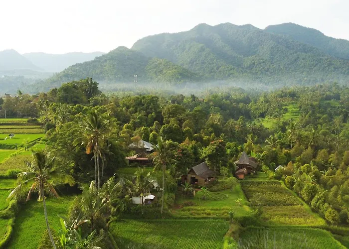 Hotel Sunset Sala- Experience The Real Bali *