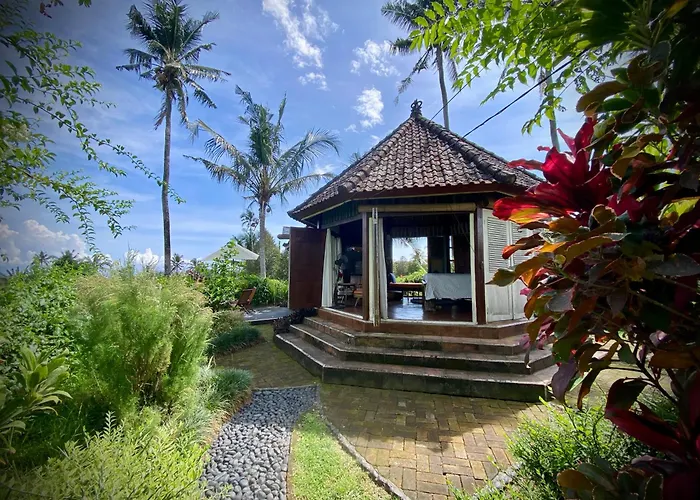 Sunset Sala- Experience The Real Bali Sudaji