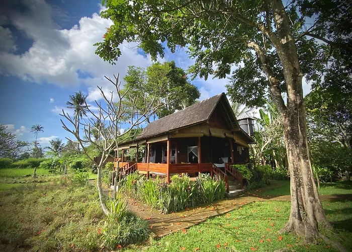 Sunset Sala- Experience The Real Bali * Sudaji