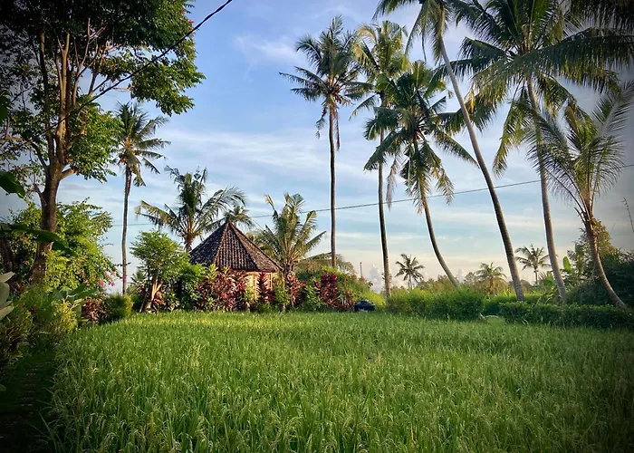 Sunset Sala- Experience The Real Bali