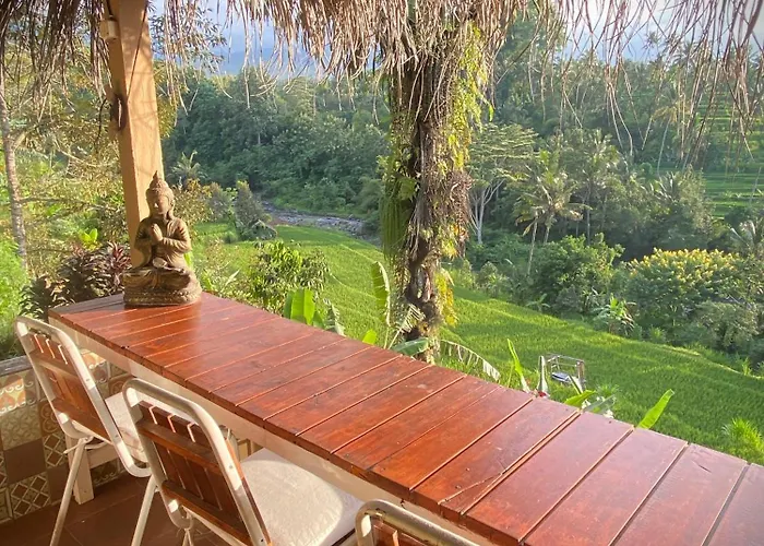 Sunset Sala- Experience The Real Bali Sudaji